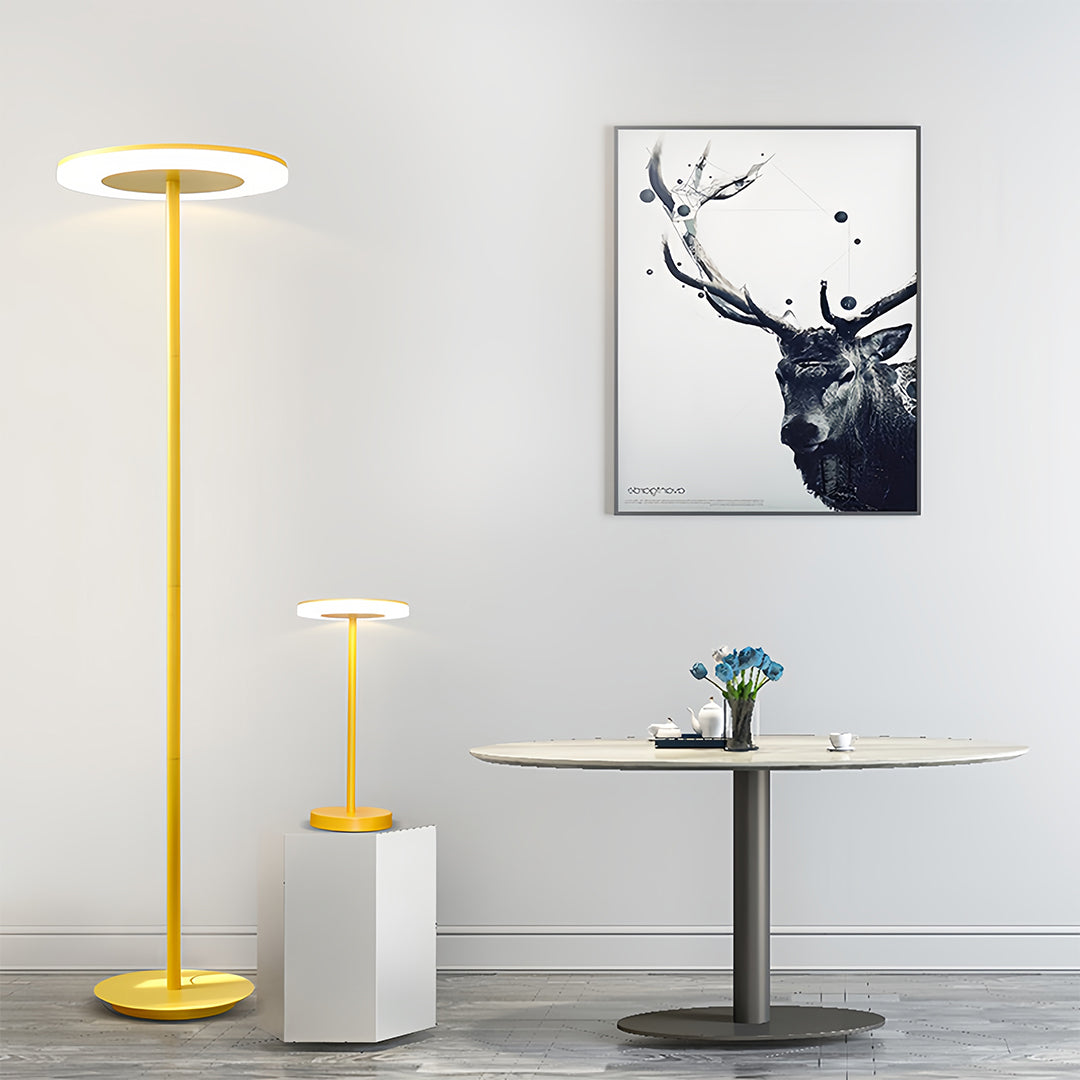 Modern Iron & Acrylic Ring Floor Lamp – Adjustable LED – Living Room & Office