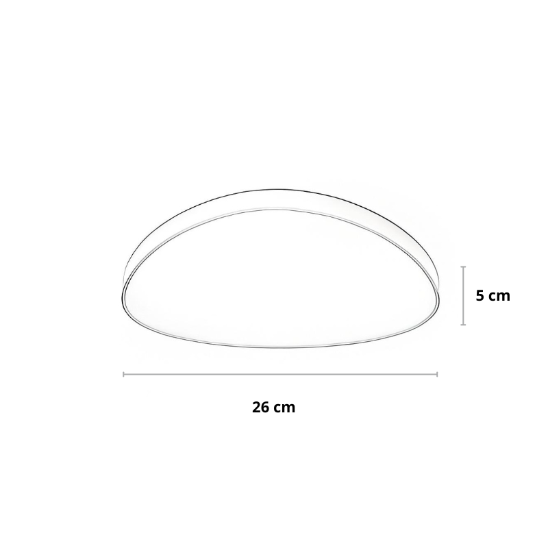 Dimmable LED Ceiling Light with Remote Control