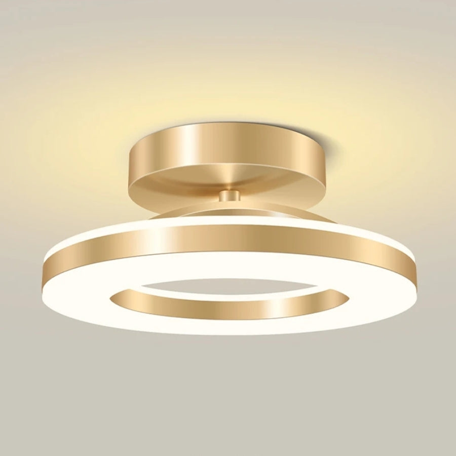 Modern LED Flush Mount Ceiling Light Fixture