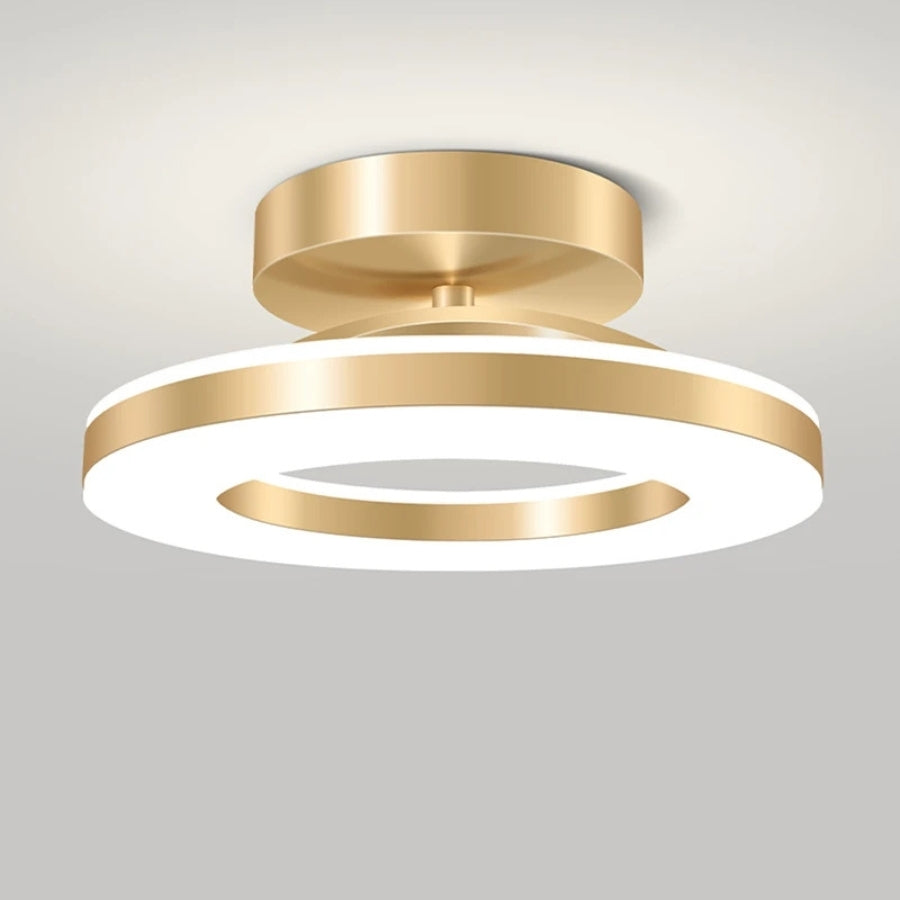 Modern LED Flush Mount Ceiling Light Fixture