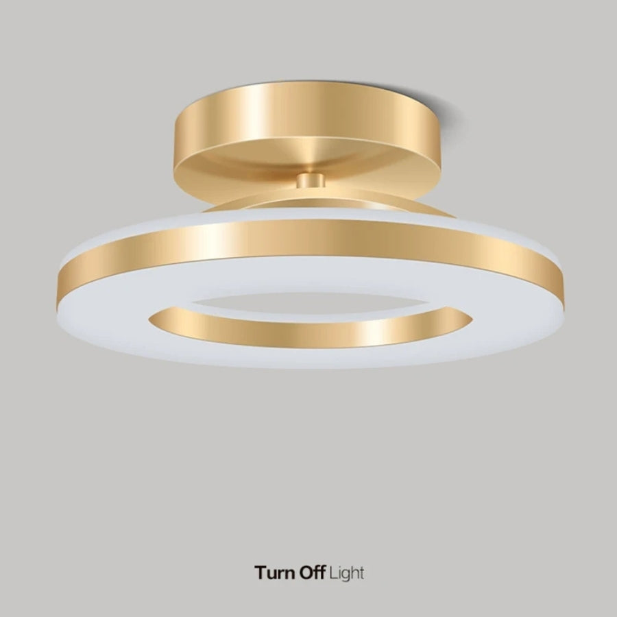 Modern LED Flush Mount Ceiling Light Fixture