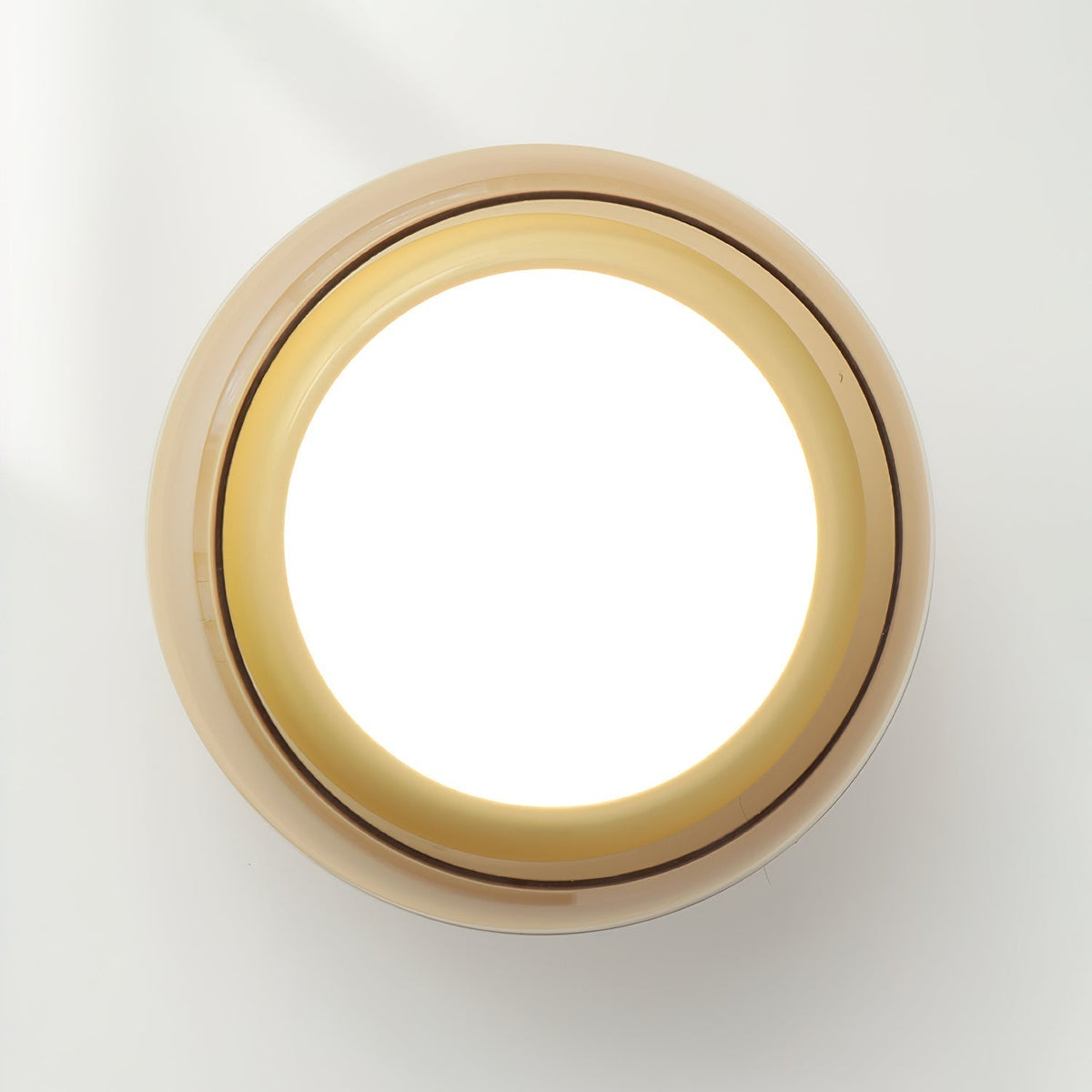 Tinted glass dome LED ceiling light