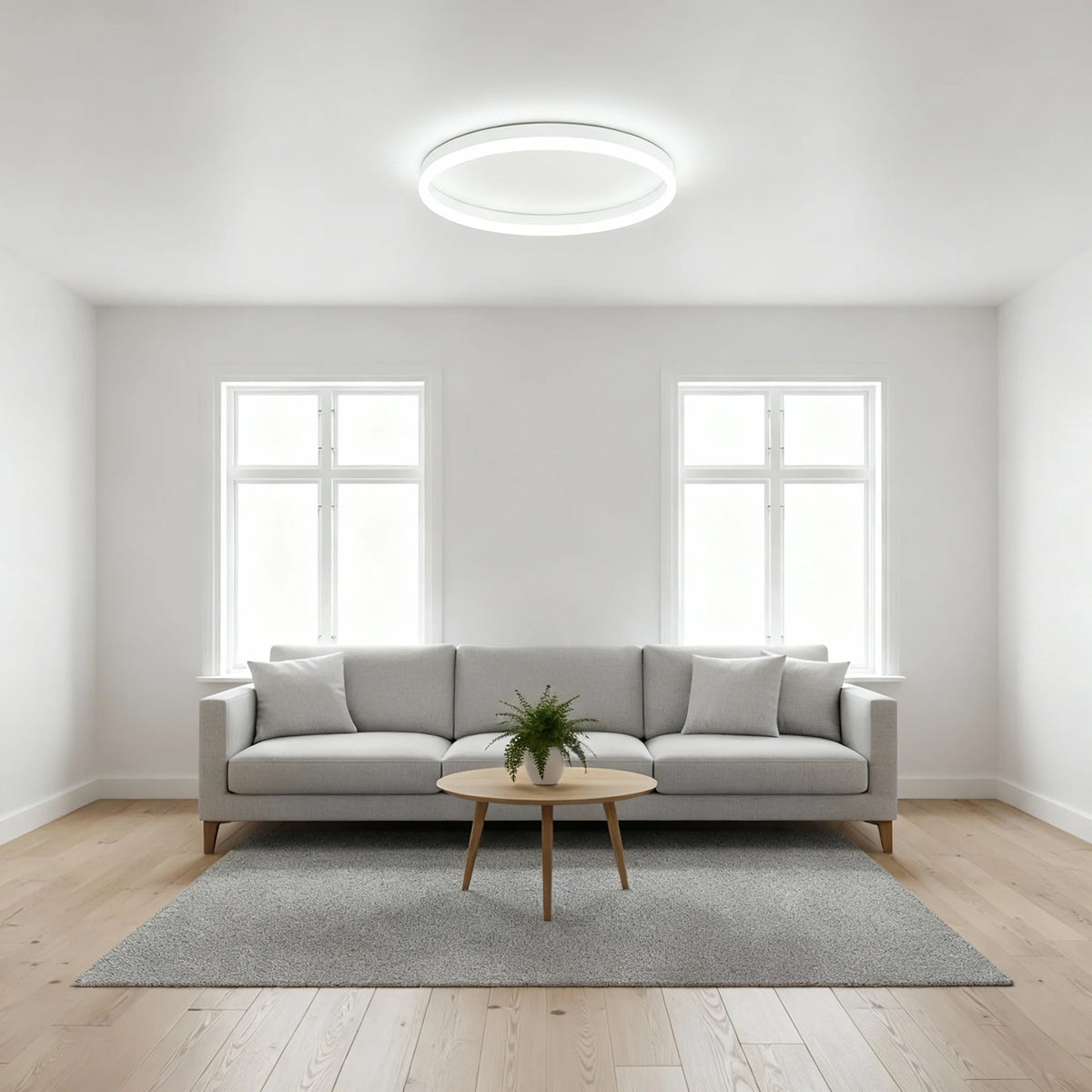 Minimalist LED Ceiling Light
