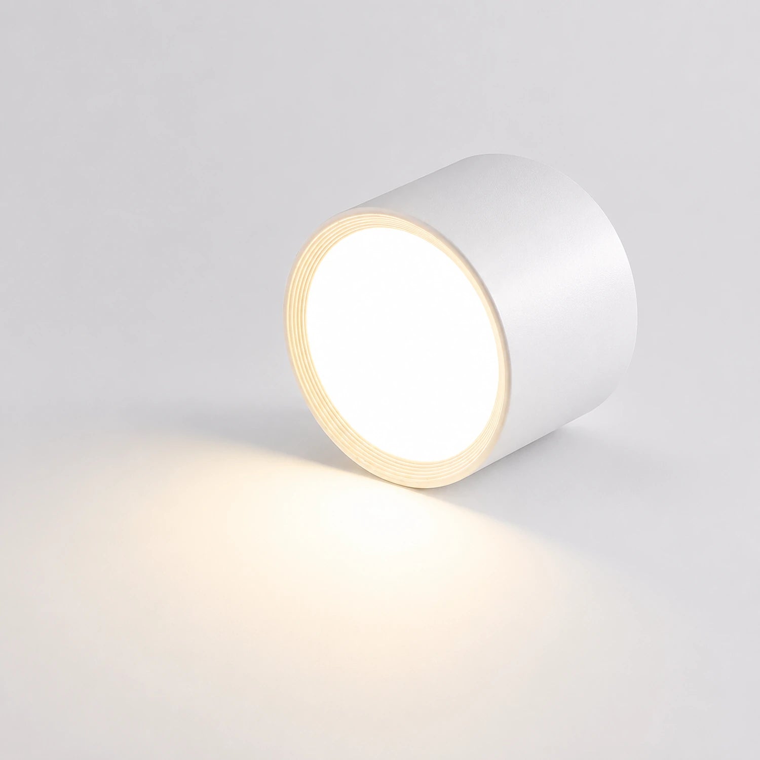 Nordic Modern Surface Mounted Ceiling Light
