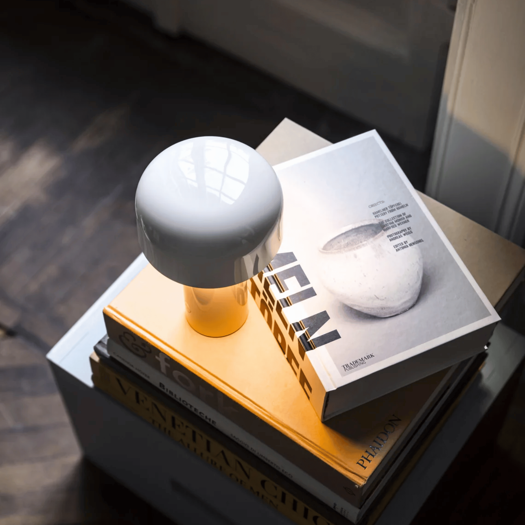 Rechargeable LED Mushroom Table Lamp