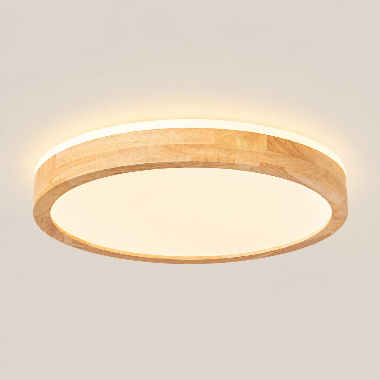 Modern Low-Profile LED Ceiling Light