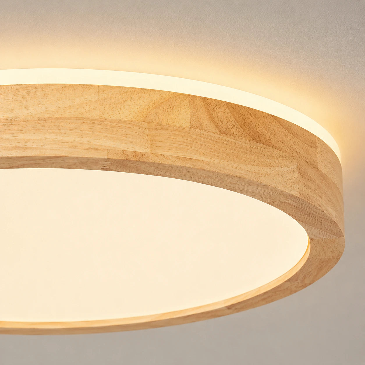 Modern Low-Profile LED Ceiling Light