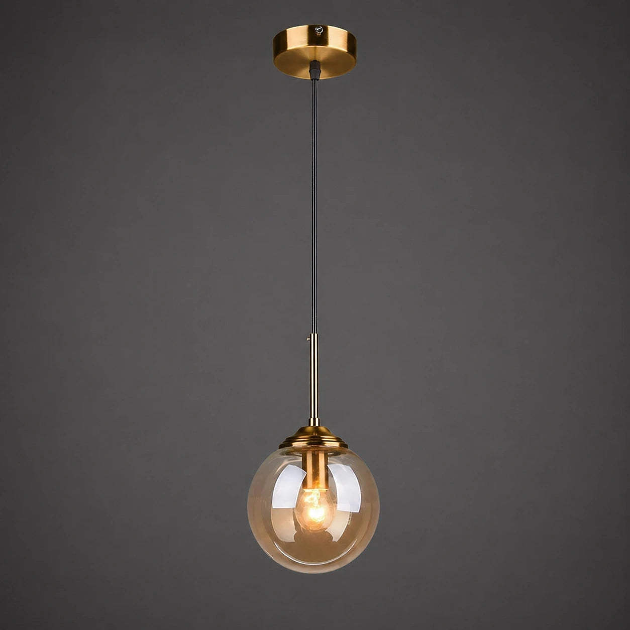 Modern Globe Glass Pendant Light