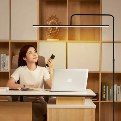 Minimalist Iron LED Floor Lamp – Dimmable Remote Control – Living Room & Bedroom