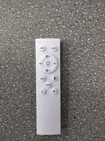 Modern Dimmable Led Metal Black Gold Floor Lamp Remote Control