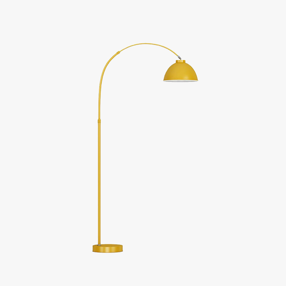 Modern Morandi Arc Floor Lamp