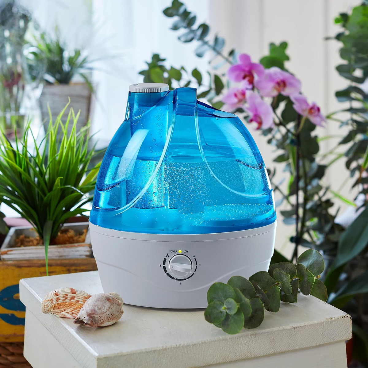 Blue and white cool mist humidifier beside houseplants