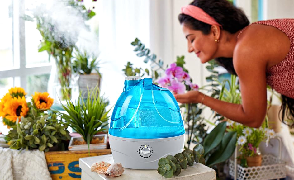 Humidifier shown with houseplants