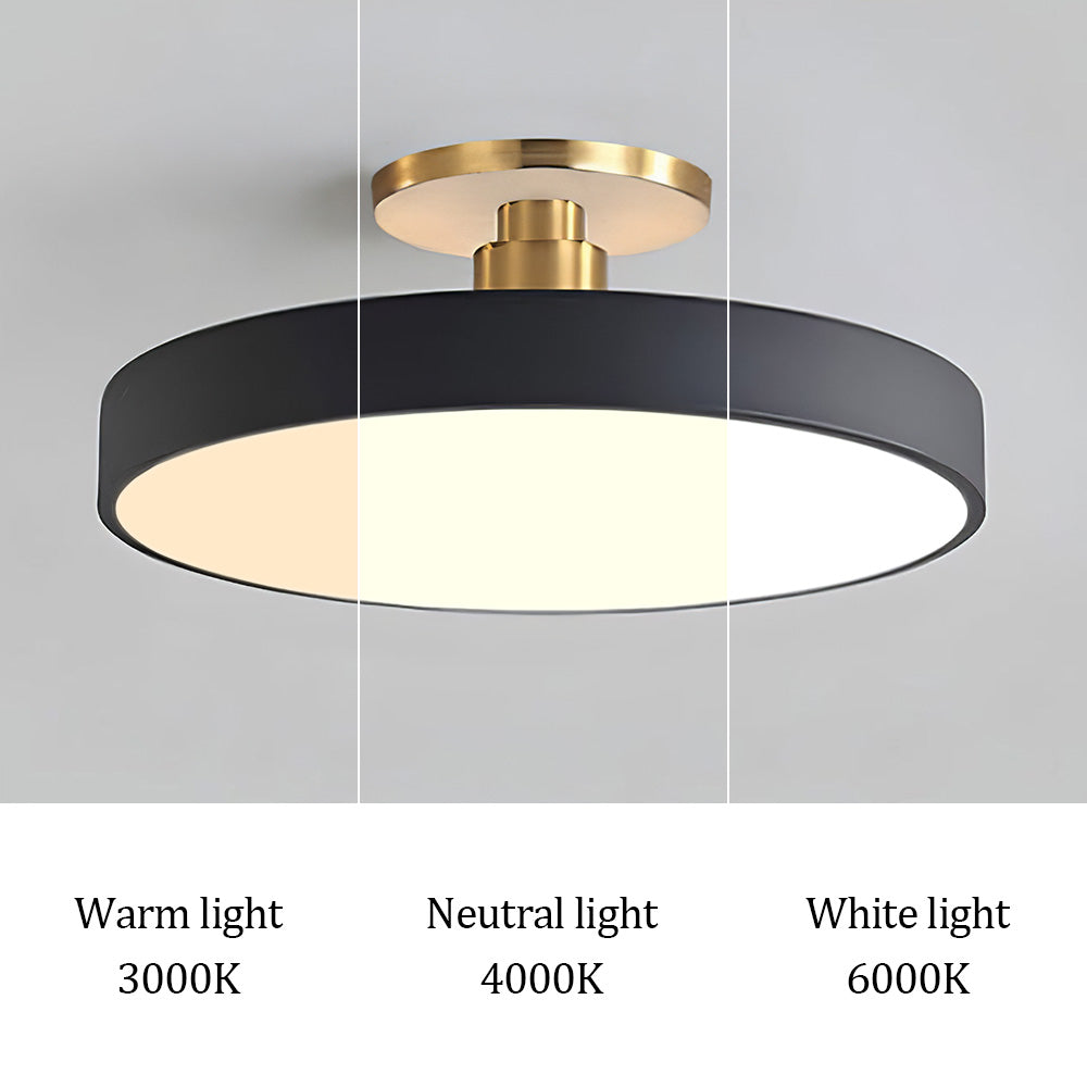 Modern LED Flush Mount Ceiling Light for Home Decor