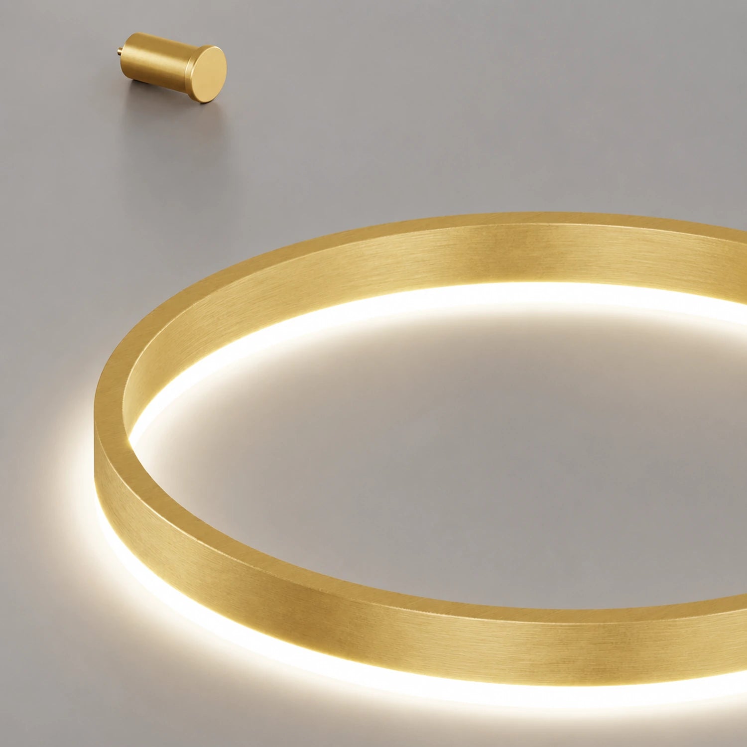 Modern LED Circular Ring Pendant Light