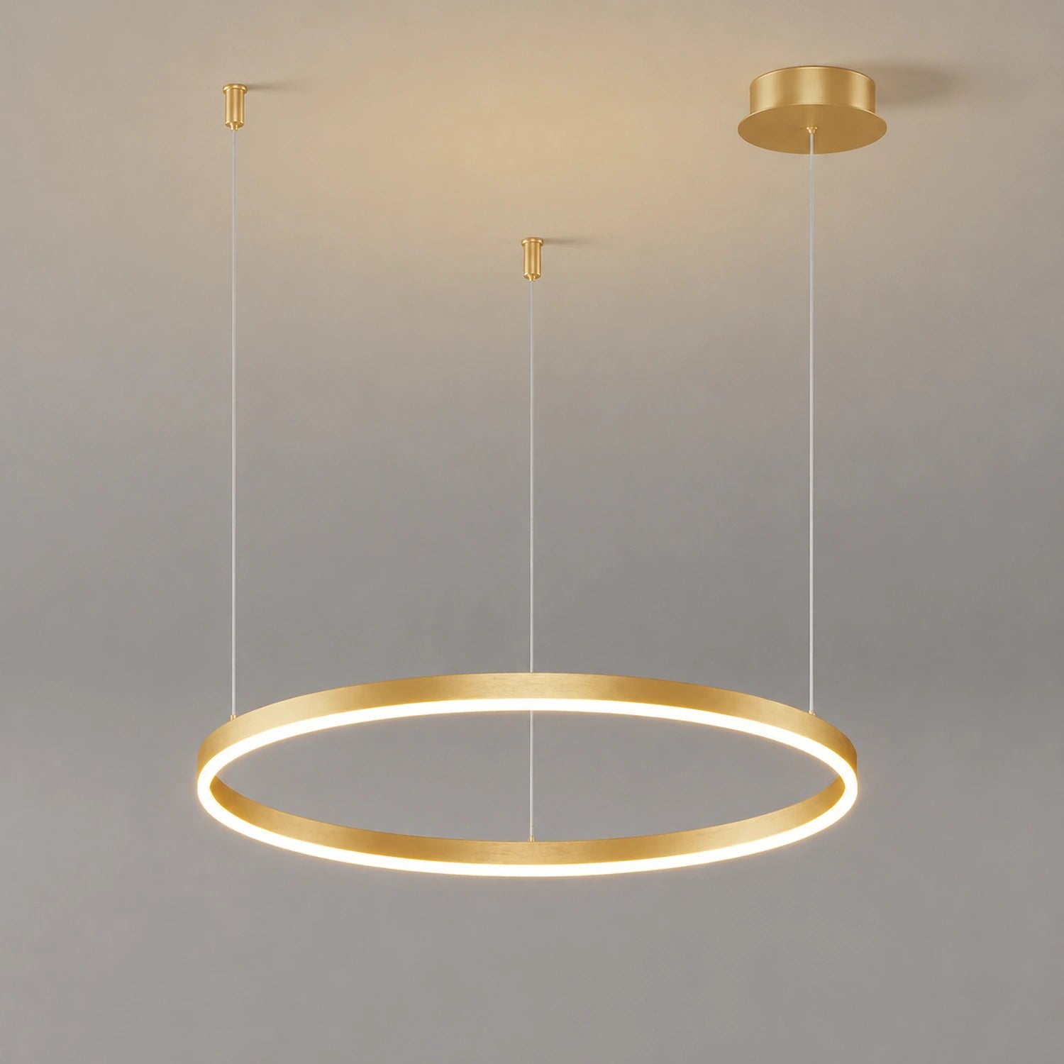 Modern LED Circular Ring Pendant Light